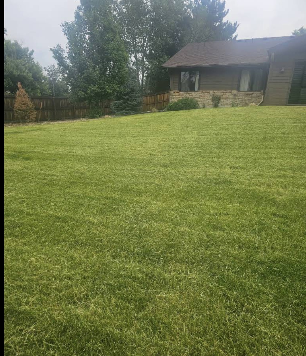 Maintained backyard lawn behind an Aurora home