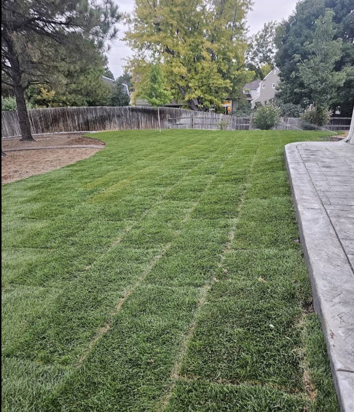 Sod Installation